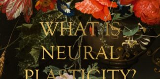 What is Neural Plasticity?